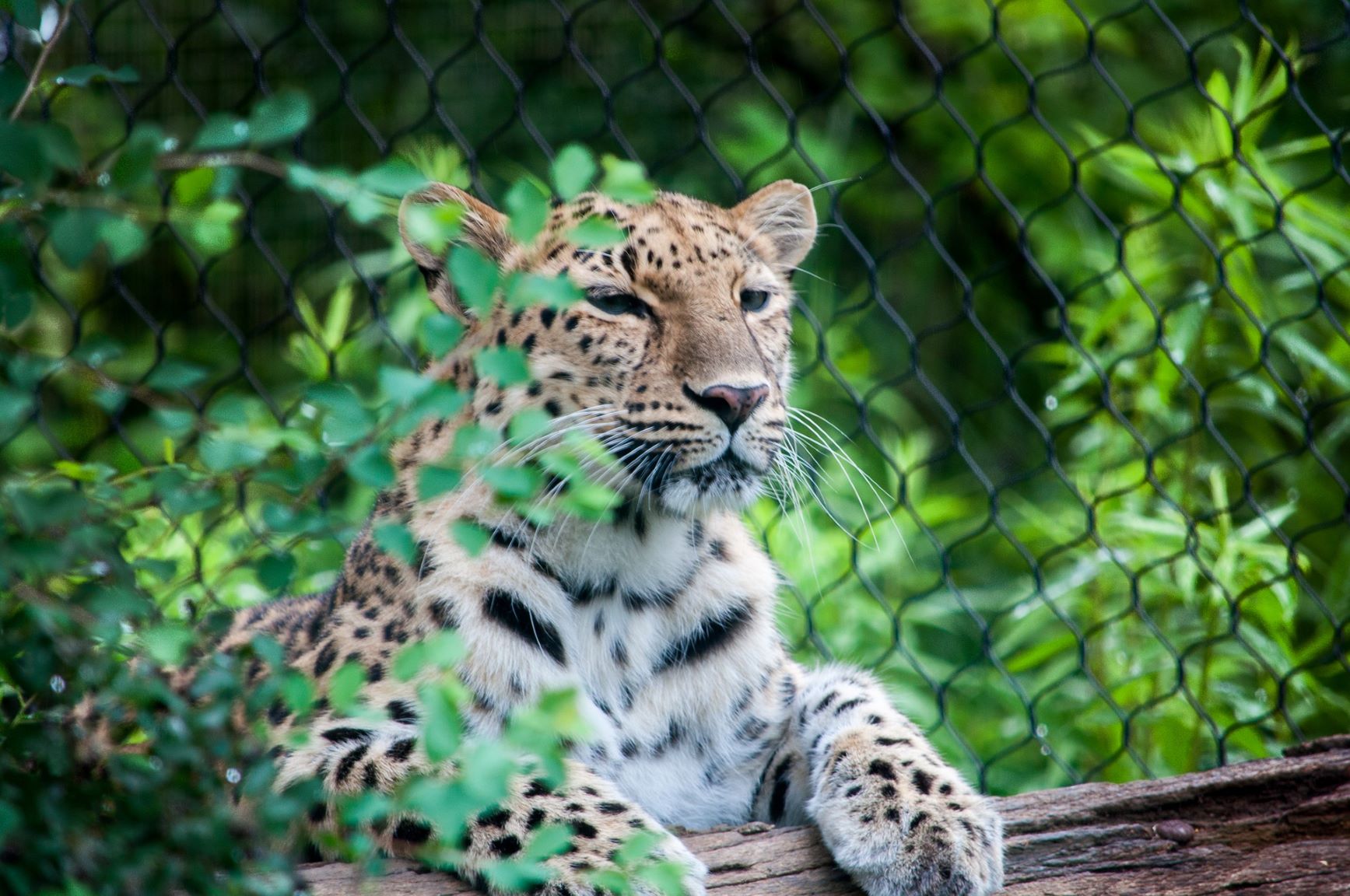 Africa Travel Week Shines A Spotlight On Animal Welfare And Tourism