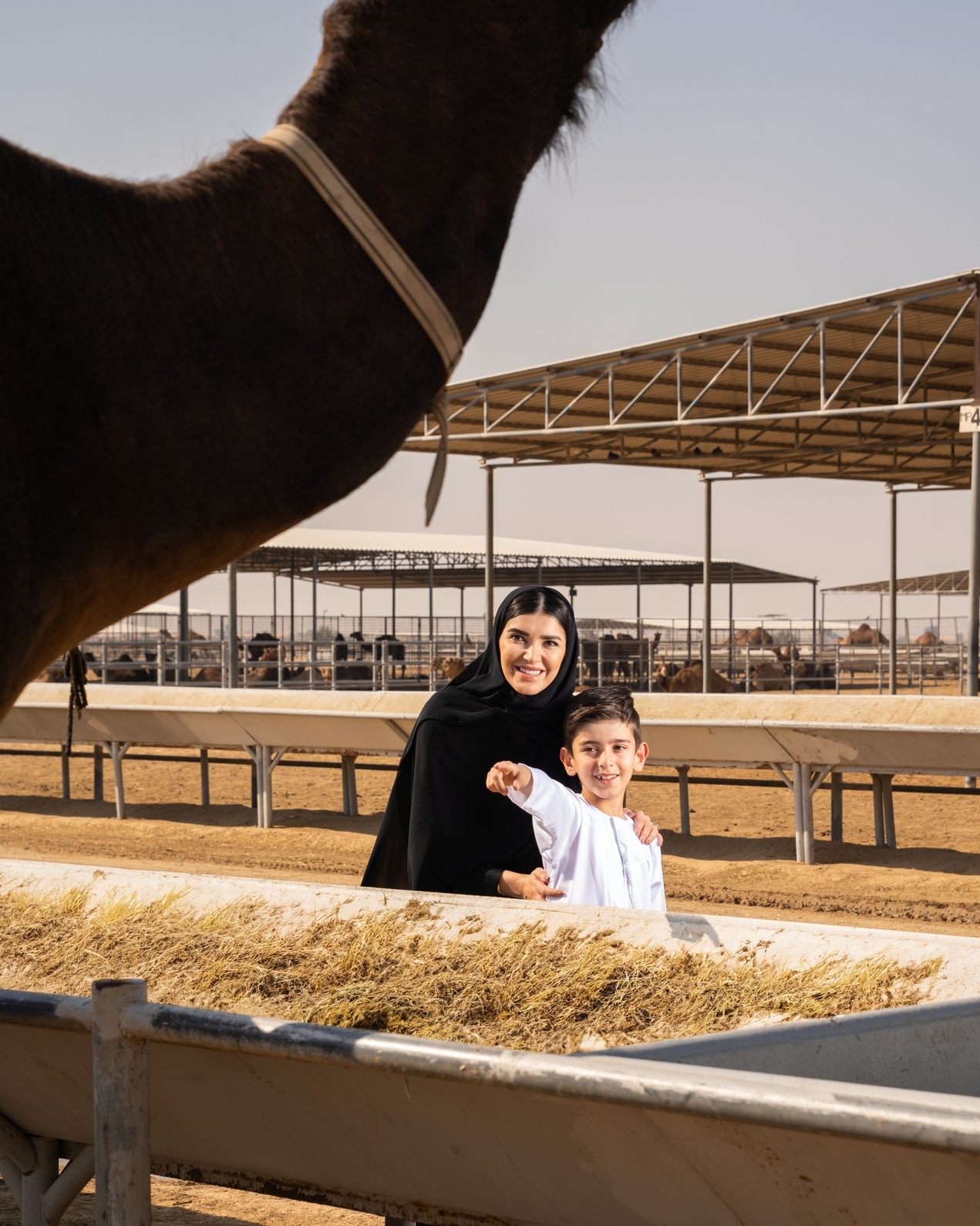 Camelicious Opens Its Farm To The Public For The First Time On World Camel Day