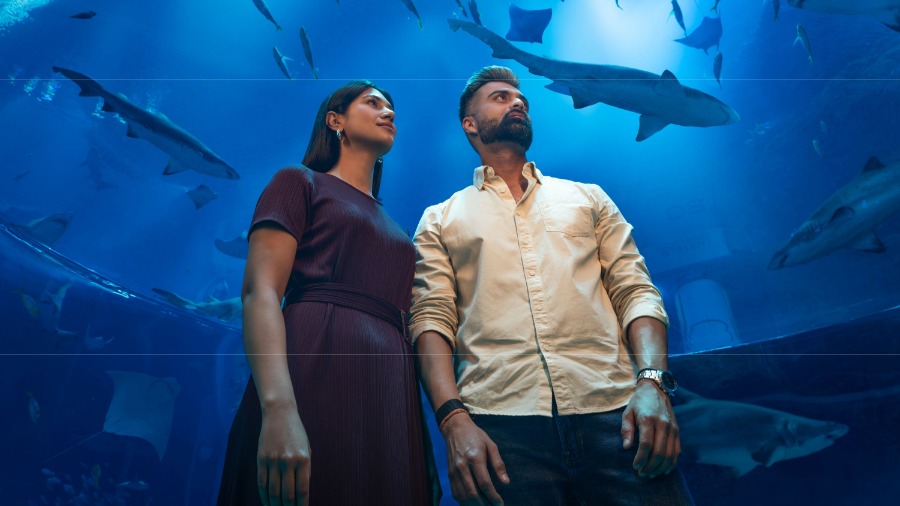 DCT Abu Dhabi Signs New Joint Marketing Partnerships To Welcome More Than 75,000 Visitors From India